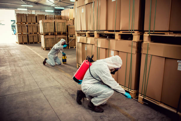 Best Cockroach Control Services  in East Valley, NV